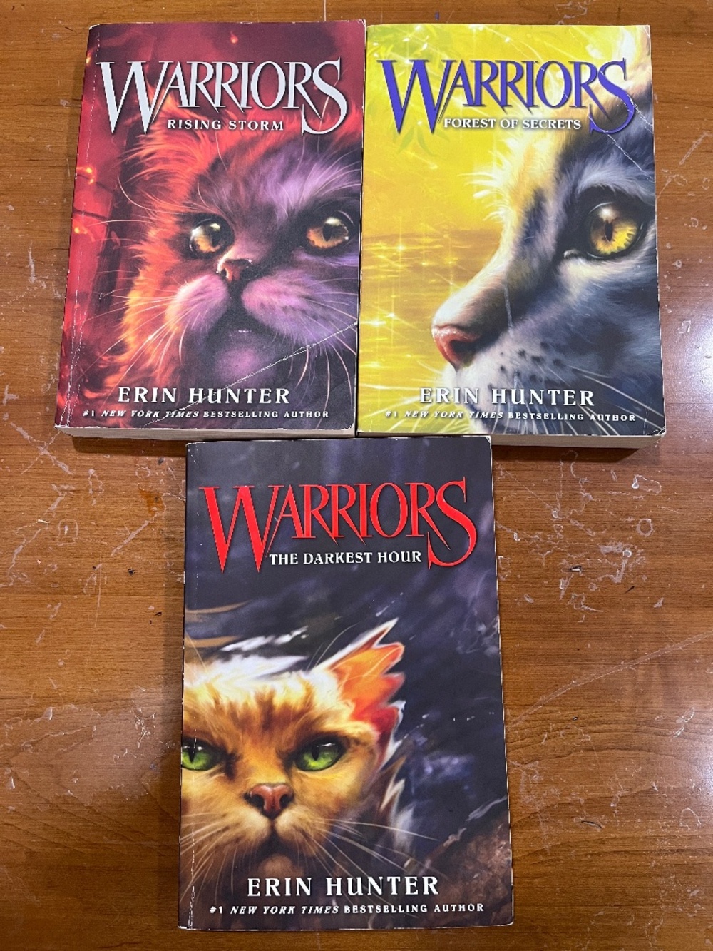 Lot of 3 Warriors Paperback Books by Erin Hunter